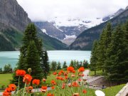 Lake Louise, Alberta